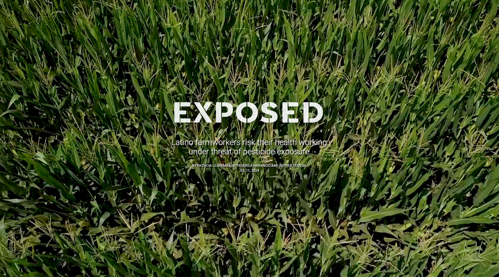 Campo tóxico: Pesticides